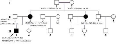 Simultaneous Identification of Both MFSD8 and RDH12 Pathogenic Variants in a Chinese Family Affected With Retinitis Pigmentosa